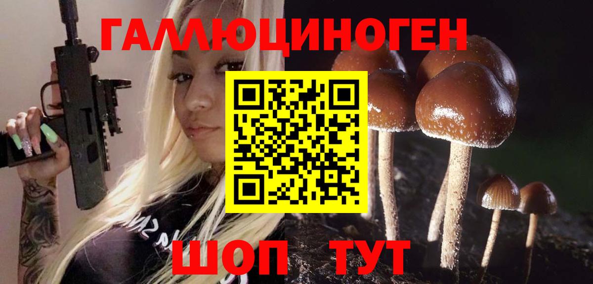 Скопин  Псилоцибиновые грибы прущие грибы  Вход с VPN 