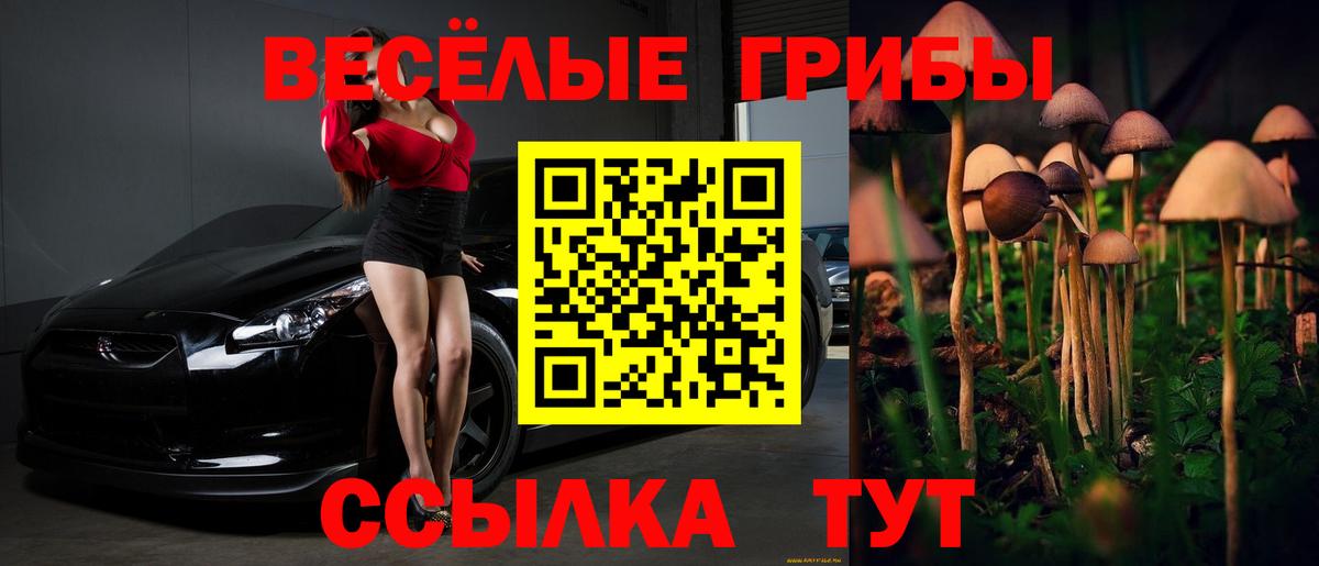 Псилоцибиновые грибы мухоморы Скопин